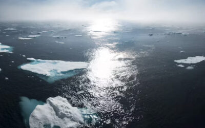 New Combustion Technology for a Sustainable Future